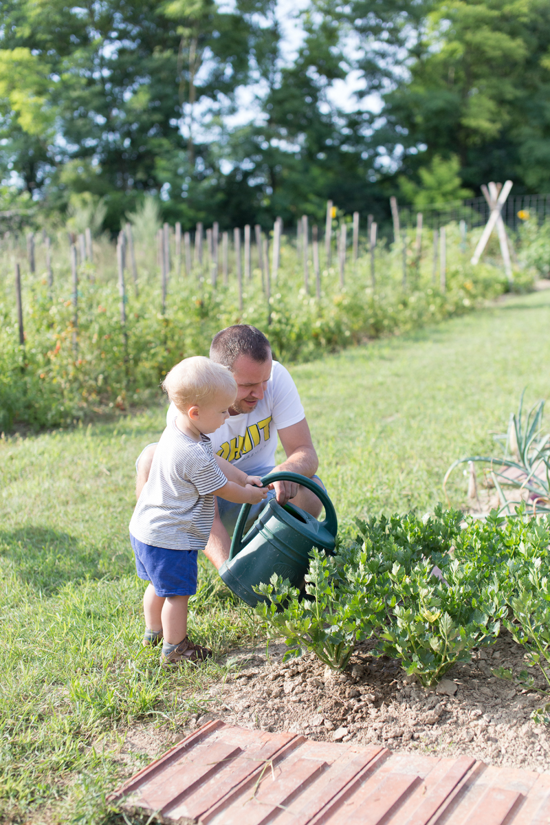 a little gardener's life