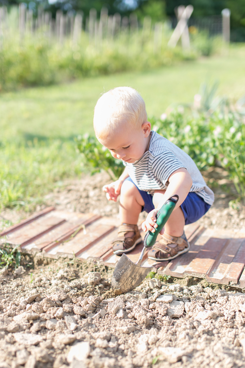 a little gardener's life