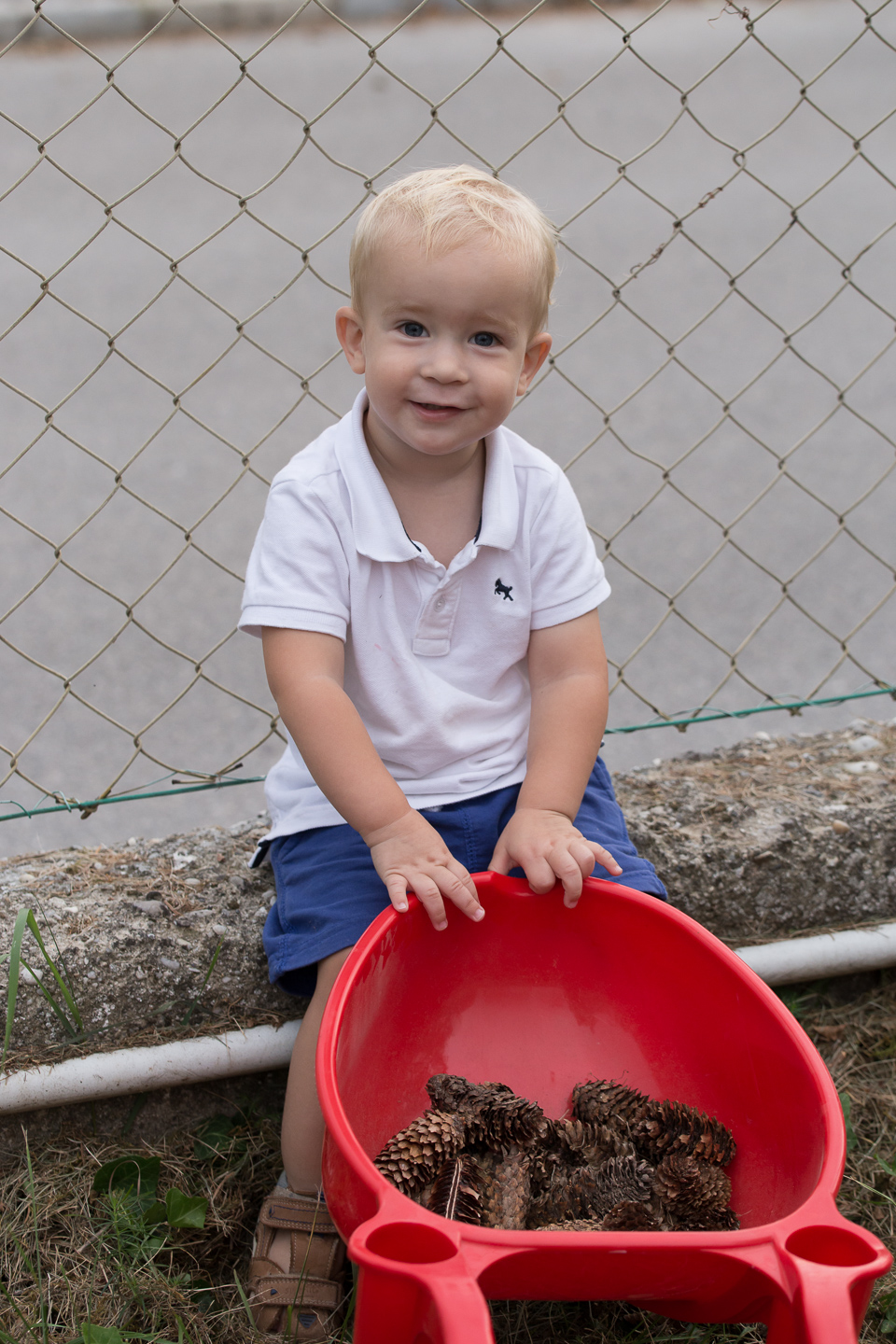 roof tiles and garden joy