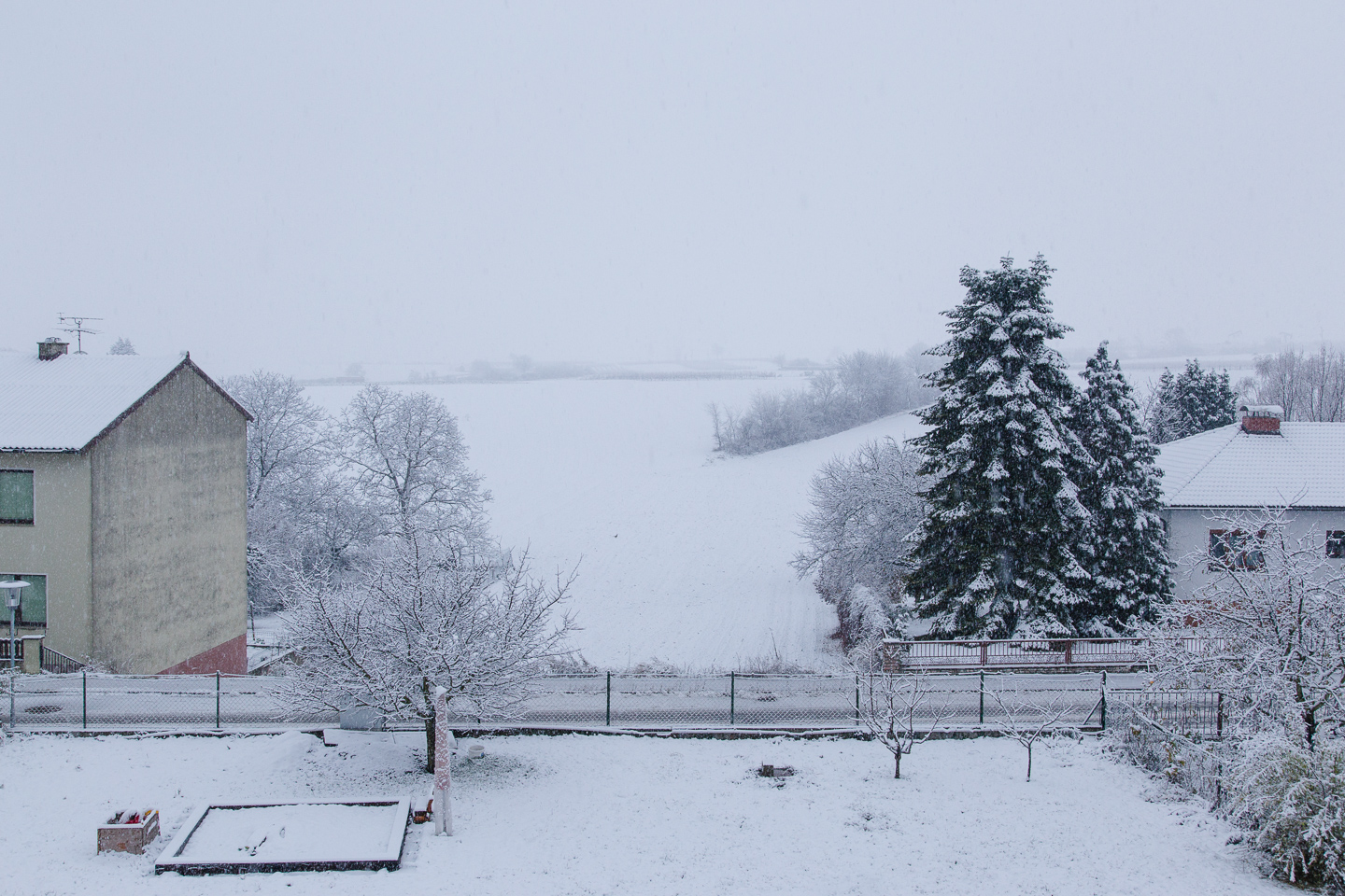 Der erste Schnee