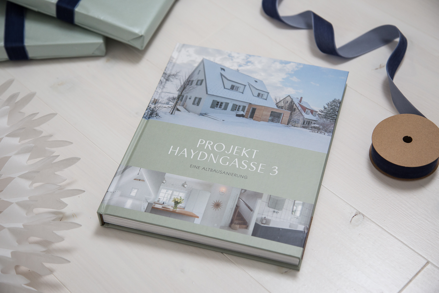 Buch "Projekt Haydngasse 3"