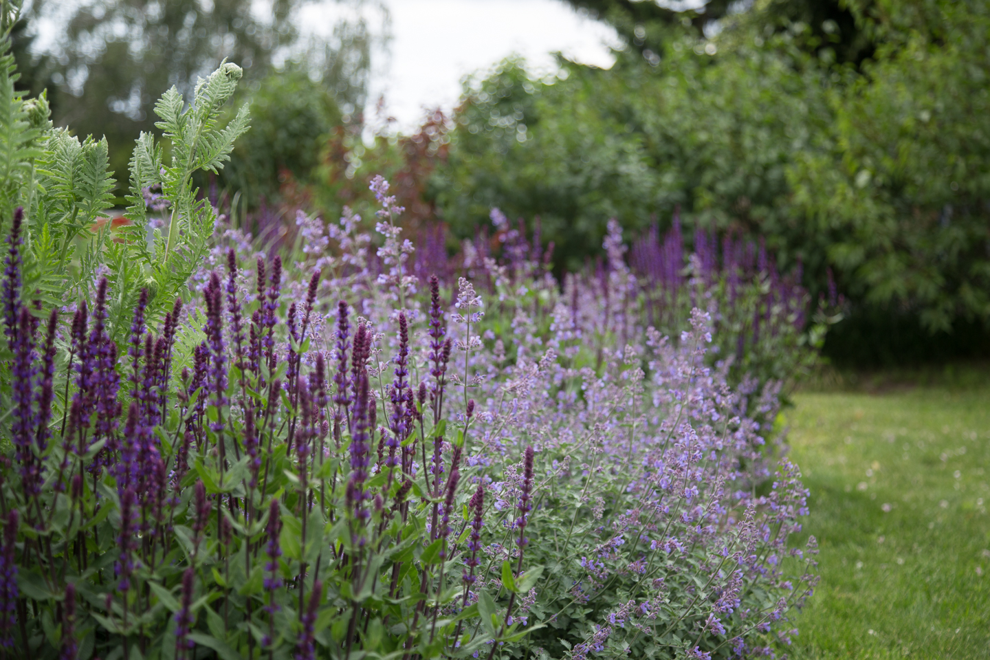 Ein Plädoyer für Pflanzen im Garten