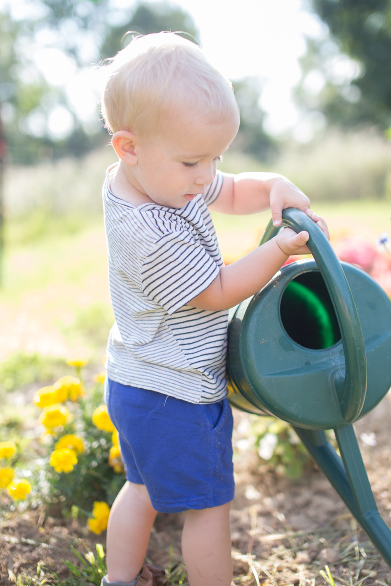 a little gardener